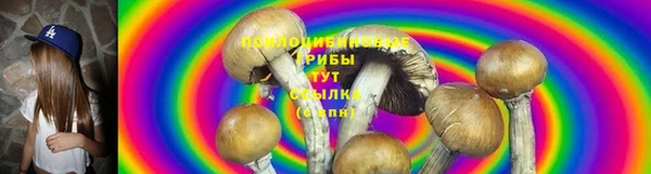 гидропоника Заволжск