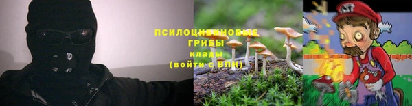гидра Заводоуковск