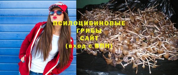 гидра Заводоуковск