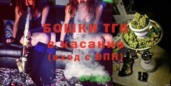 гидра Заводоуковск