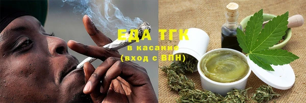 гидра Заводоуковск