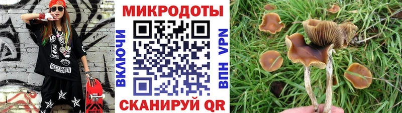 Купить где  Красноуральск  Псилоцибиновые грибы Cubensis 